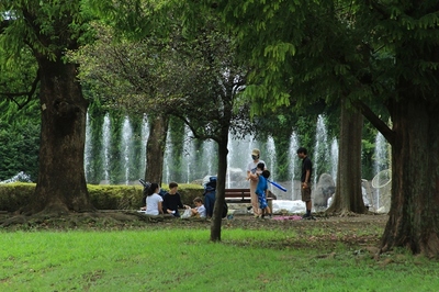 北浦和公園