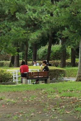 北浦和公園