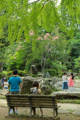 北浦和公園