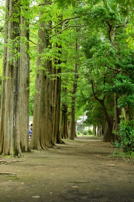 北浦和公園