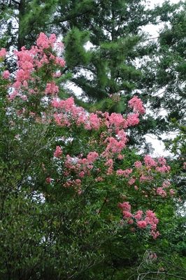 北浦和公園