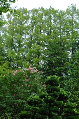 北浦和公園