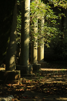 染井霊園