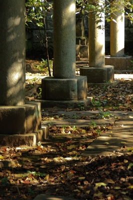 染井霊園
