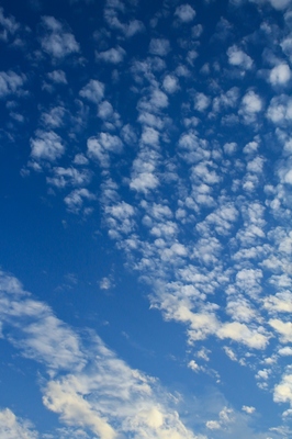 秋空