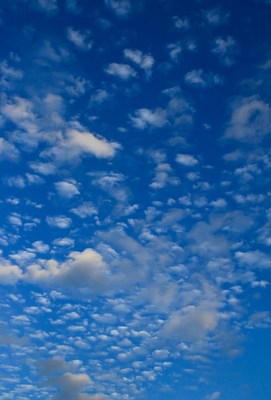 秋空