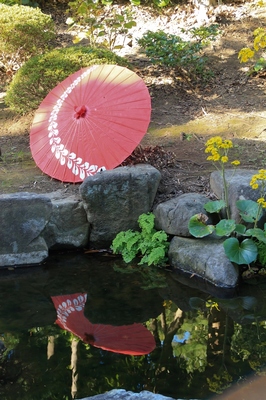 海浜幕張公園　見浜園