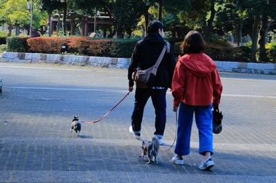 海浜幕張公園