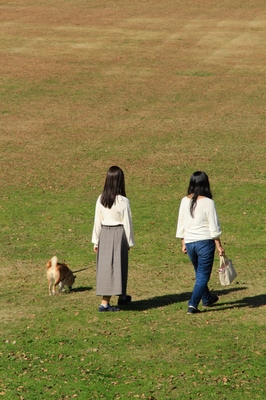 海浜幕張公園