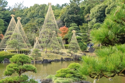見浜園　庭園の風景