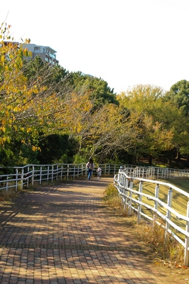 海浜幕張公園の風景