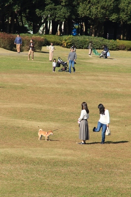 海浜幕張公園の風景