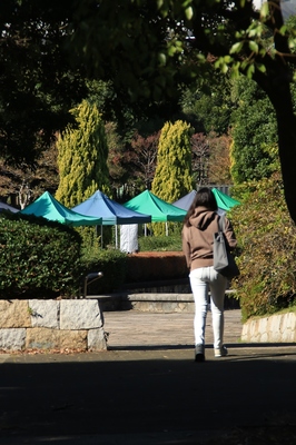 海浜幕張公園の風景