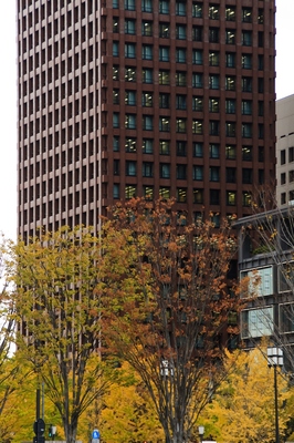 東京丸の内
