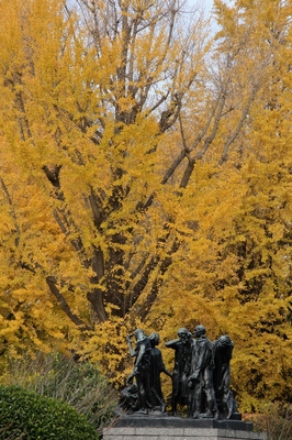 上野恩賜公園　（2020.12.10）