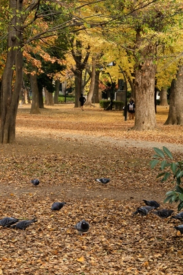 上野恩賜公園