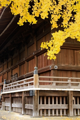 鶯谷・寛永寺根本中堂