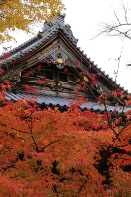 鶯谷・寛永寺根本中堂