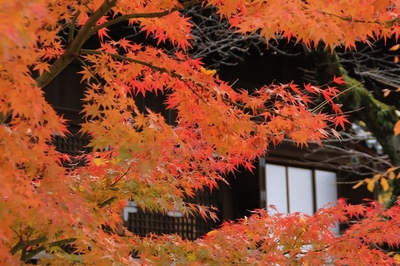 鶯谷・寛永寺根本中堂