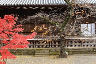 鶯谷・寛永寺根本中堂