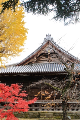鶯谷・寛永寺根本中堂