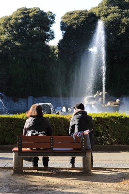北浦和公園　（2020.12.20）