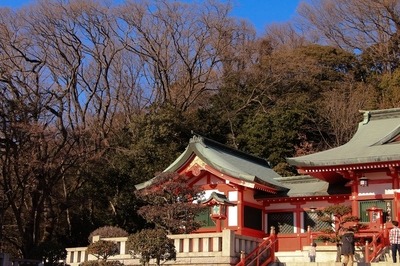 足利・織姫神社