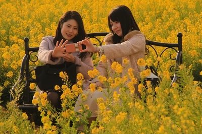ソレイユの丘　（2019.2.24）