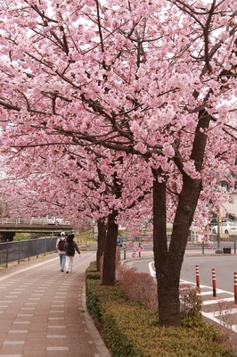 川口元郷駅界隈
