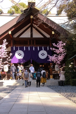 東京大神宮　（2019.3.17）