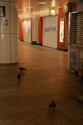 朝の西新宿