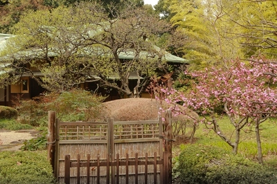 皇居東御苑