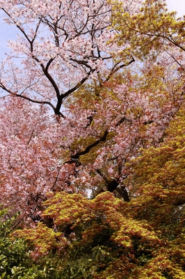 皇居東御苑