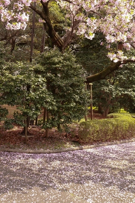 皇居東御苑