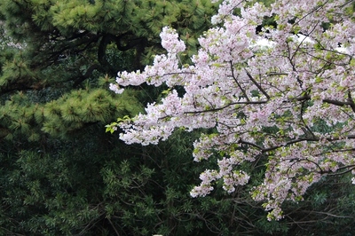 皇居東御苑
