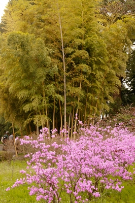 皇居東御苑