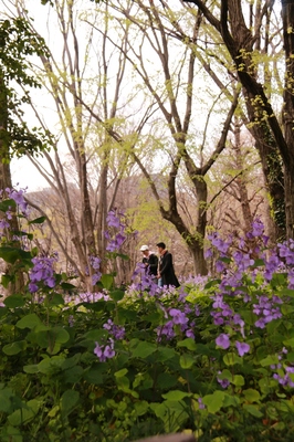 北の丸公園　（2019.3.31）