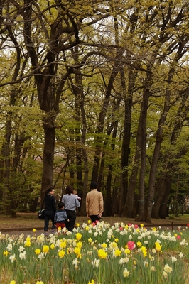 小金井公園