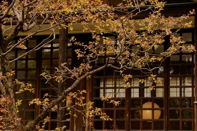小金井公園