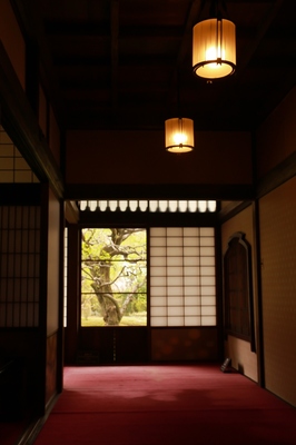小金井公園