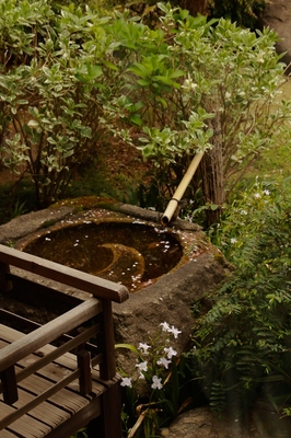 小金井公園