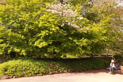 芝離宮庭園