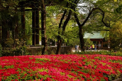 芝増上寺