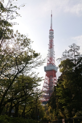 芝増上寺