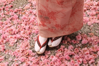 着物ポトレ　