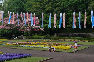 川口グリーンセンター　