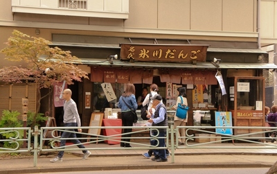 大宮氷川神社参道