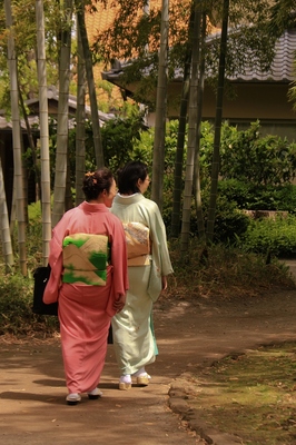 大宮氷川神社参道