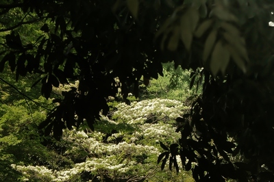 川口自然公園