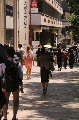 原宿表参道界隈　